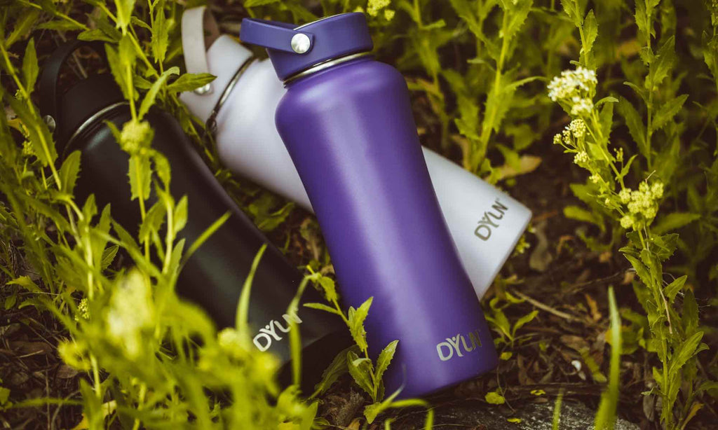 Stainless Steel vs. Aluminum Water Bottles DYLN