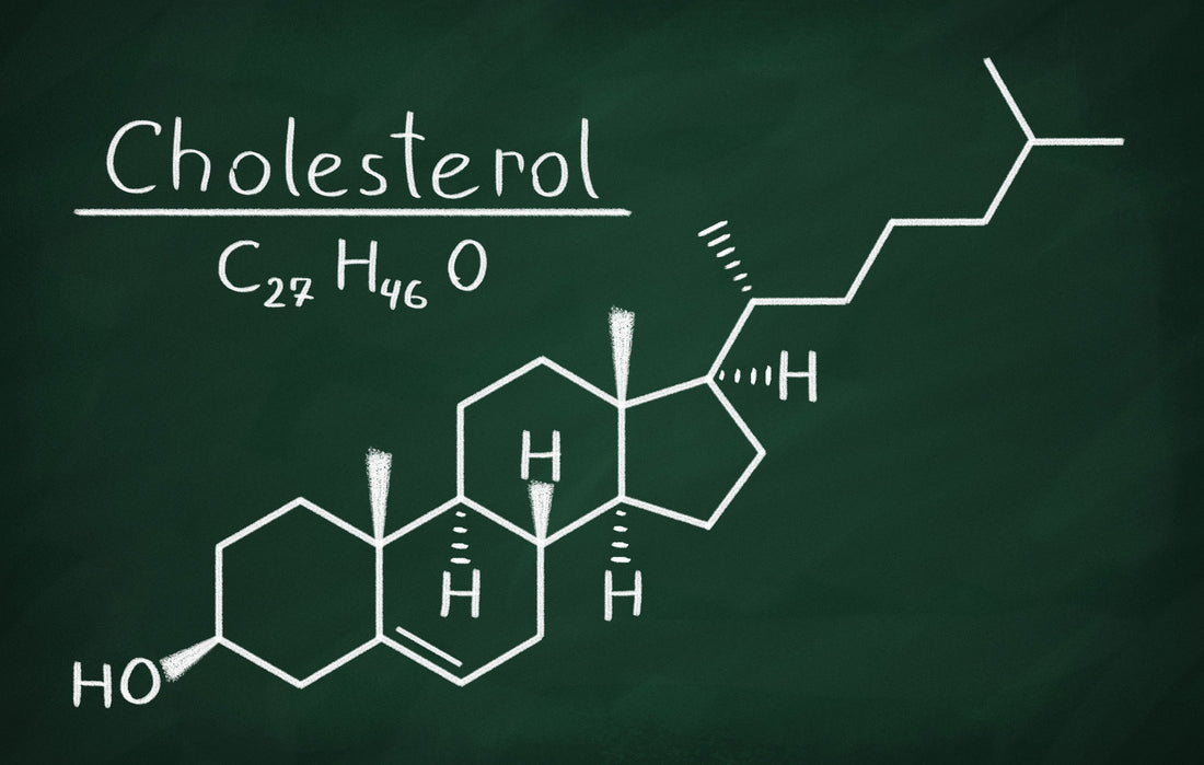 The Cholesterol Conspiracy