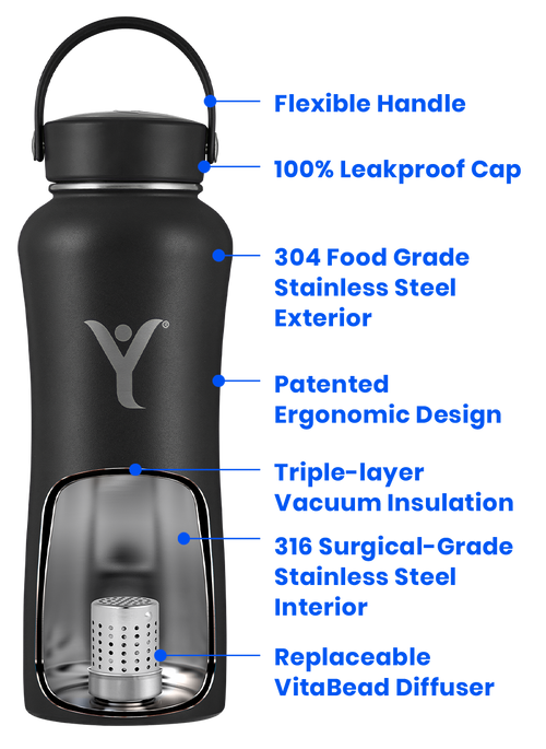 Buy DYLN Water Bottle and Create Alkaline Water on the Go